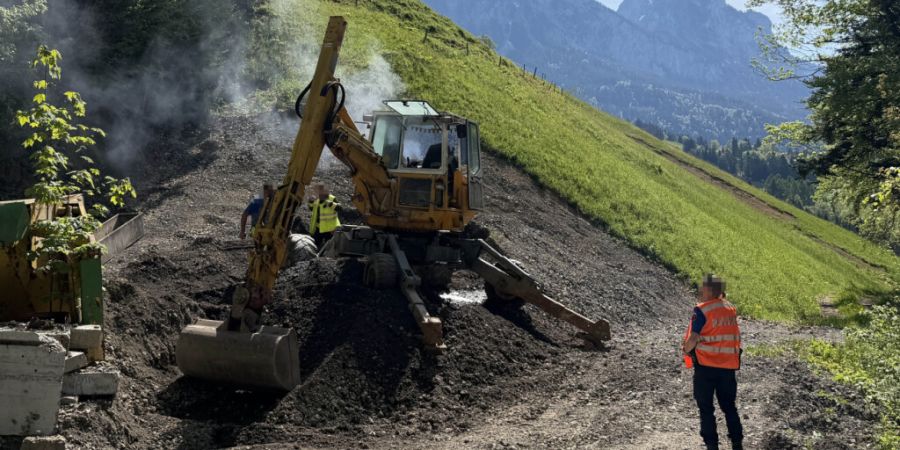 Der Bagger, der am Samstagvormittag in Seewen SZ in Brand geriet, wurde gelöscht und anschliessend gekühlt.
