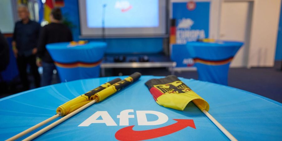 Wie geht es weiter für die AfD im EU-Parlament? Die ID-Fraktion trennte sich kurz vor der Europawahl von der Partei.