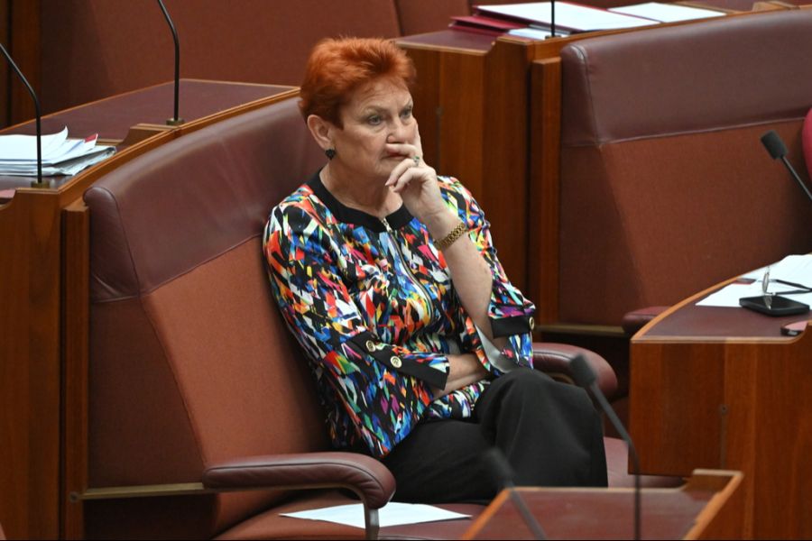 Mit einem Auftritt im Vollschleier hat Australiens rechtsradikale Senatorin Pauline Hanson heftige Empörung ausgelöst.