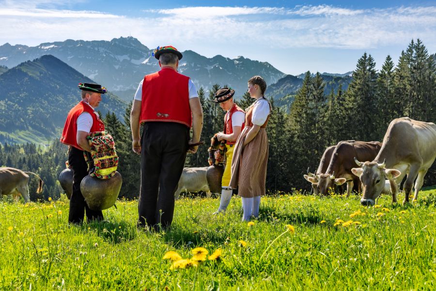 Alpabfahrt Urnäsch Appenzell