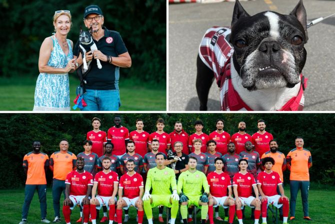 Dietikon Hund