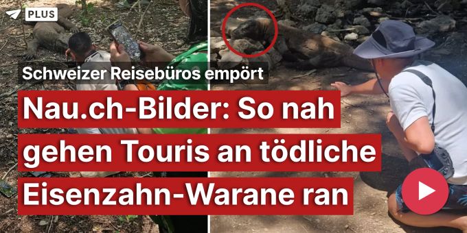 Nau.ch-Bilder - So nah gehen Touris an tödliche Eisenzahn-Warane ran