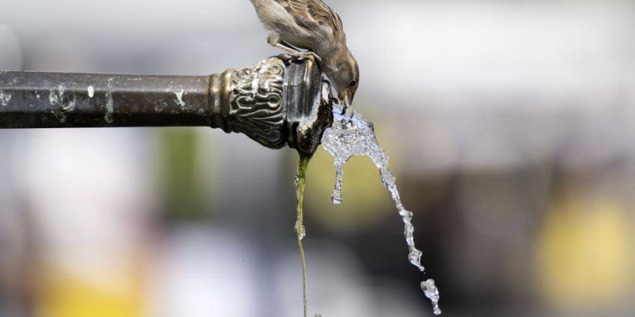 Die Brunnen in Chur bleiben trotz Trockenheit in Betrieb. (Symbolbild)