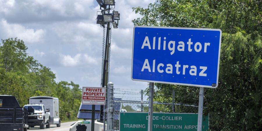 alligator alcatraz