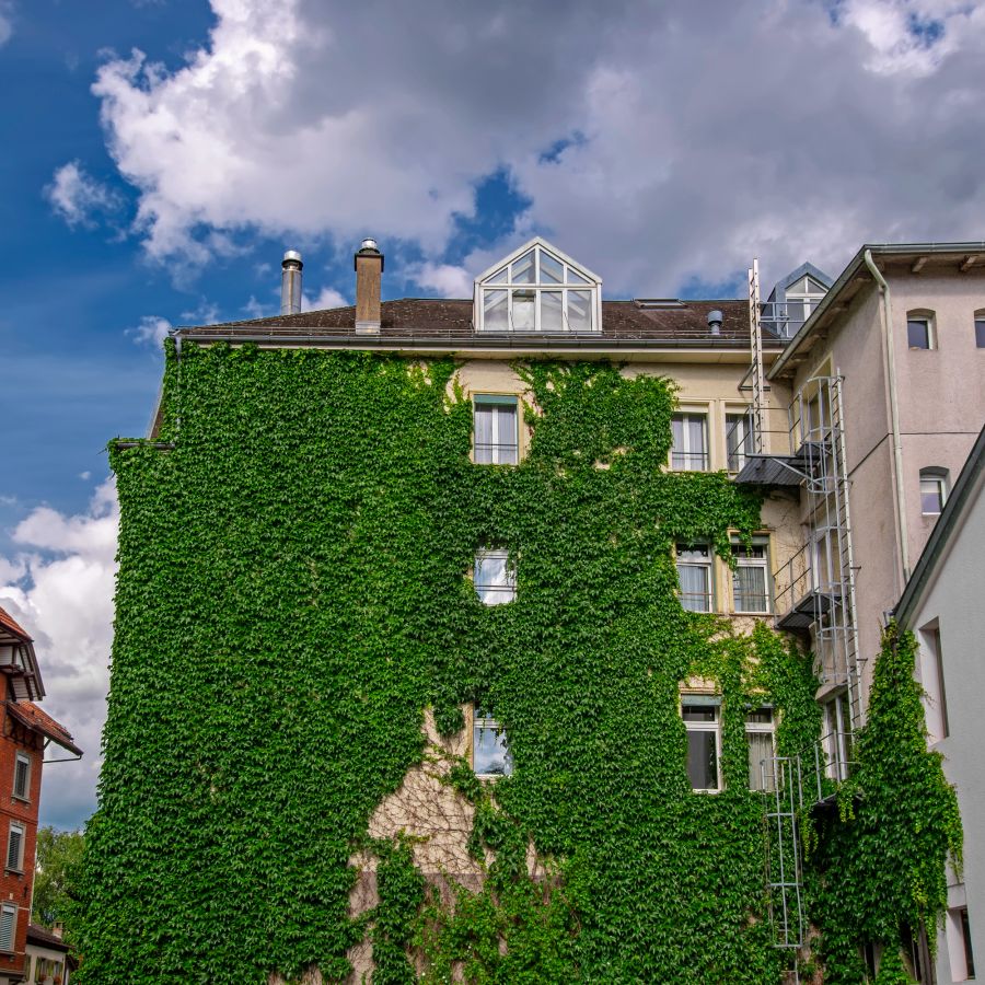 Begrünung