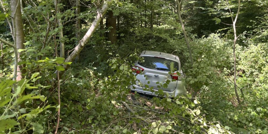 Ein spektakulärer Unfall auf der A2 in Sursee LU endete glimpflich.