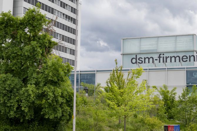 DSM-Firmenich