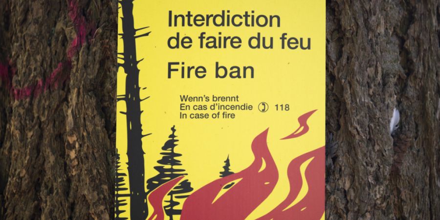 Mit der anhaltenden Trockenheit steigt im Kanton Thurgau die Waldbrandgefahr. (Archivbild)