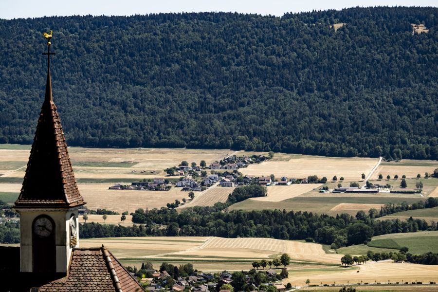 Durch die Trockenheit können alte Bäume innert Monaten absterben.