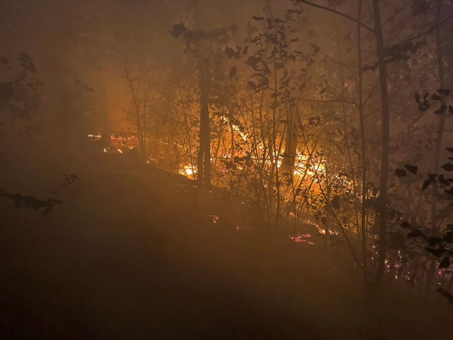 Die Feuerwehr Chestenberg machte diese Fotos vom Waldbrand in Möriken AG.