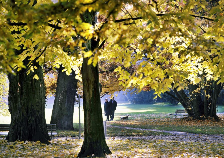 Herbst