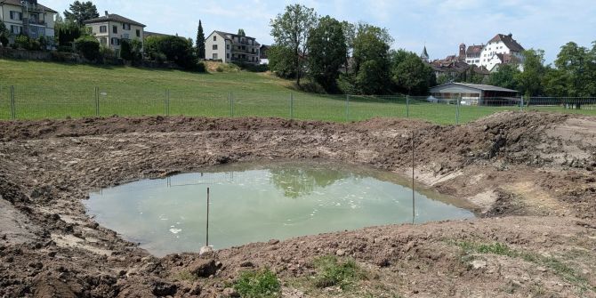 Der Versuchsteich wurde in den vergangenen Tagen auf dem Gelände Weierwise ausgehoben.