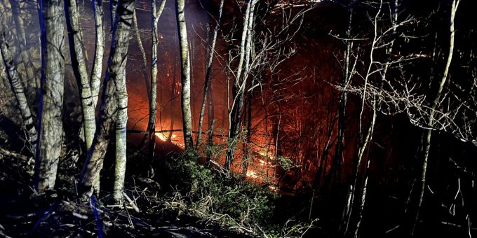 Mehrere Brände fordern die Feuerwehren in St. Gallen. Brände