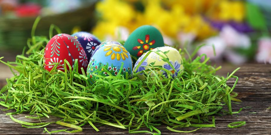 Nest Eier bunt Ostern