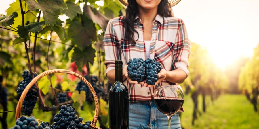 Lächelnde Frau mit Wein und Trauben auf Weingut