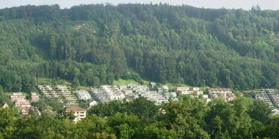 Am Bruggerberg bei Brugg AG sperrte ein junger Mann 2019 einen Kollegen in einer Höhle ein. Er liess ihn zurück. (Archivbild)