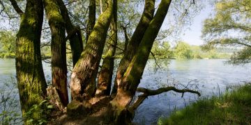 Hochrhein Küssaberg