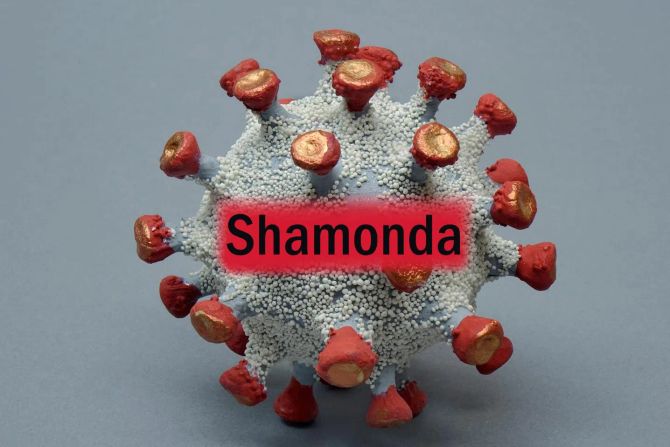 Virus Shamonda