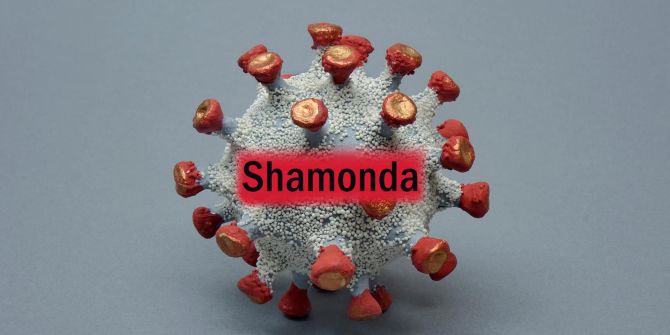 Virus Shamonda