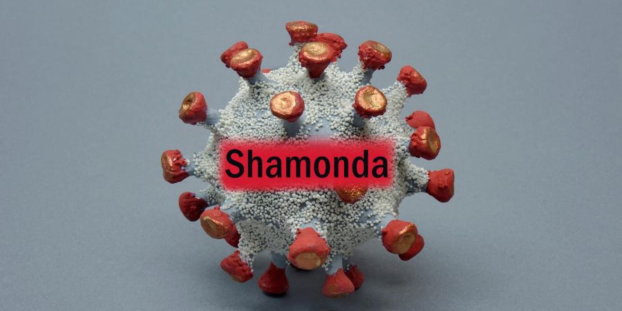Virus Shamonda