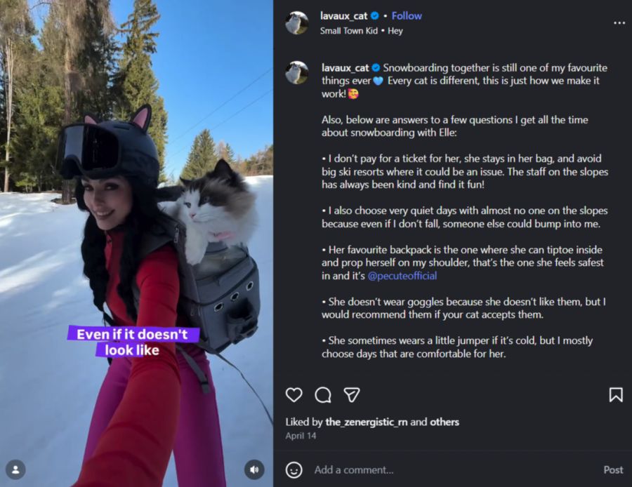 Elle auf Bühlers Schulter auf der Piste. Die Besitzerin wählt nach eigenen Angaben ruhige Tage mit kaum anderen Wintersportlern, weil sie auch ohne eigenen Sturz von anderen angefahren werden könnte.