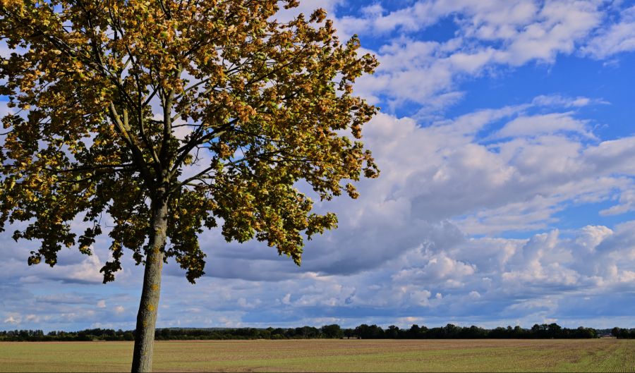 Knapp 30 Grad Ende September sind zwar im oberen Normbereich, aber nicht völlig aussergewöhnlich.