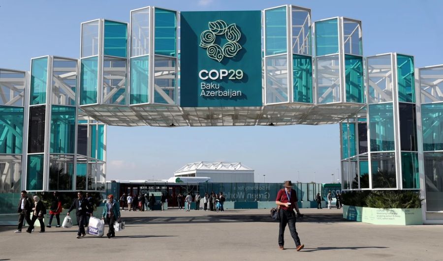 Cop29