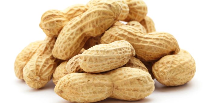 Viele Kinder sind gegen Erdnüsse allergisch. Erdnüsse.