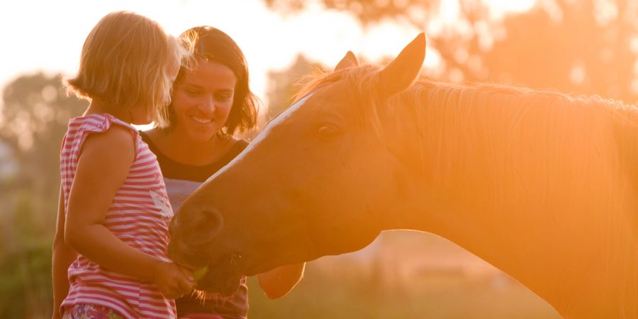 Mädchen und Pferd