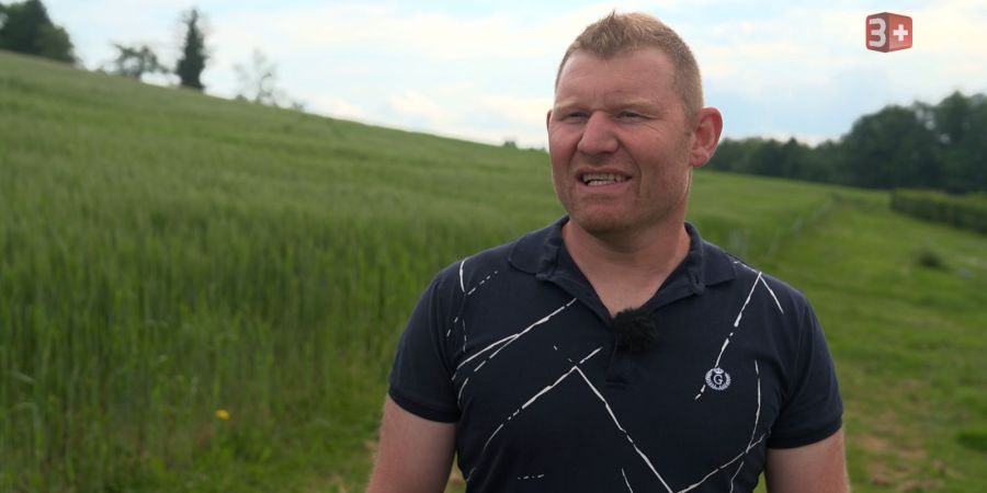 Bauer ledig sucht