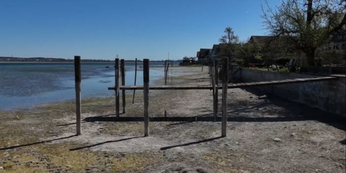 Der Wasserstand am Bodensee ist rekordverdächtig niedrig. (Archivbild Anfang April 2025) Bodensee trockenes Ufer