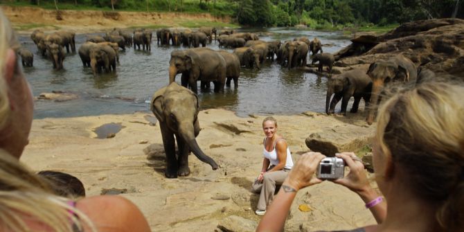 Elefanten Foto Touristen