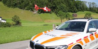 Mesmer AI - Mann (60) unter Bagger eingeklemmt – schwer verletzt