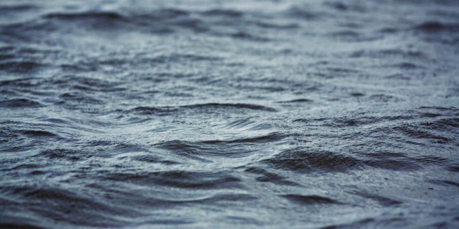 Meer