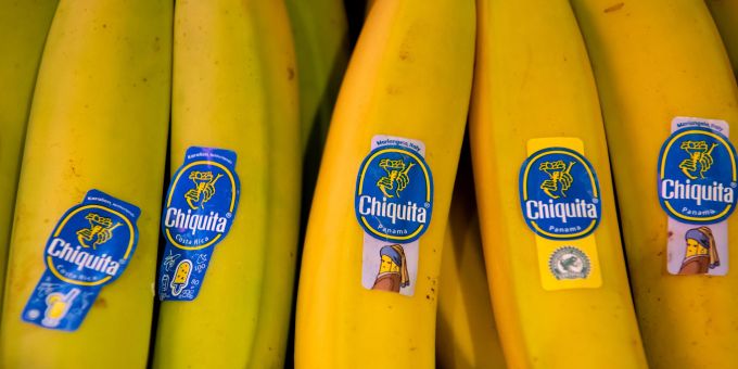 Bananen von Chiquita liegen in einem Supermarktregal in Bayern. (Archivbild) bananen