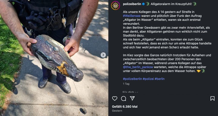 Alligator Berlin