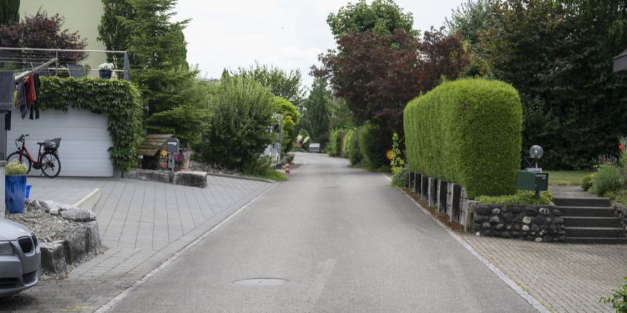 Auch der Rosenweg in Geuensee LU gehört Lauwiner. Damit will SP-Politiker Josef Schuler Schluss machen: Er will den selbsternannten König nun stoppen.