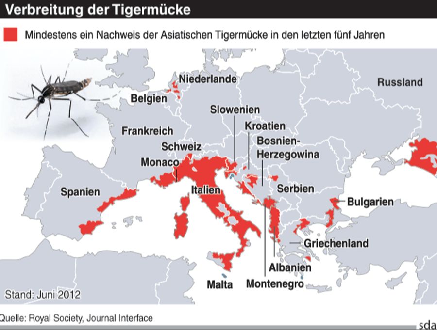Im Tessin ist die Tigermücke am meisten verbreitet. (Archivbild)