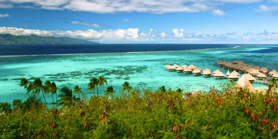 Panoramabild Französisch Polynesien Hütten Meer türkisblaues Wasser