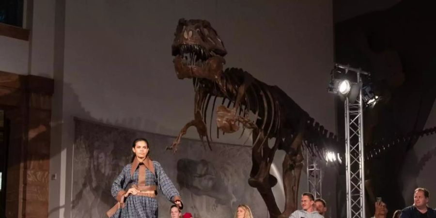 Coole Location: Show des Designers Samuel Gärtner im Senckenberg Museum vor dem Skelett eines Tyrannosaurus. Foto: Sebastian Gollnow/dpa