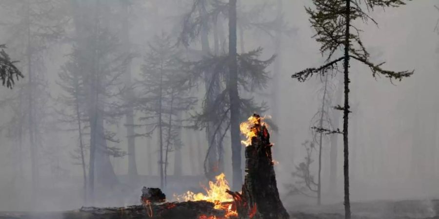 In der Region Jakutsk brennt der Wald an vielen Stellen. Foto: Vasily Kuper/AP/dpa