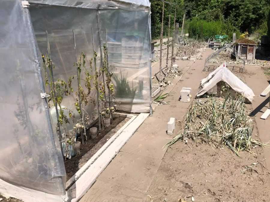 Fritz Minders Garten ist komplett verschlammt, die Tomaten im Vordergrund sind futsch.