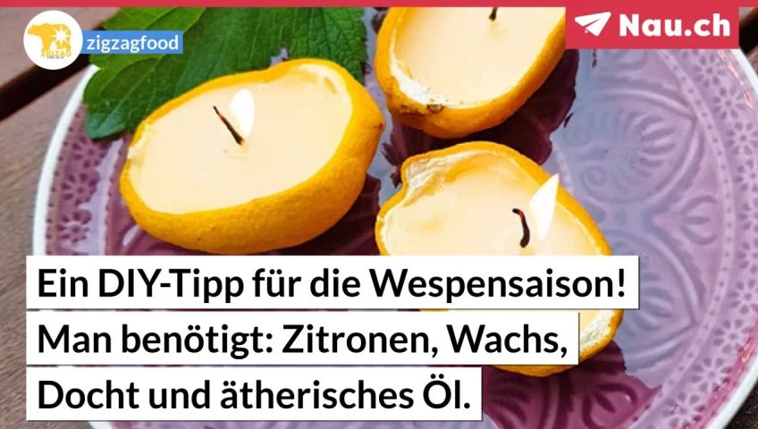 screenteaser-fur-artikel