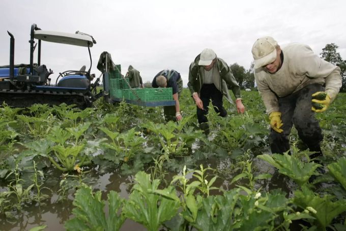 Unwetter Landwirtschaft