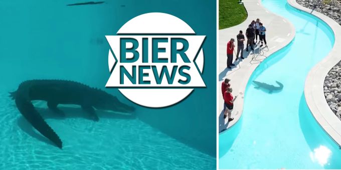 Wasserscheu - Alligator muss im Wasserpark Ferientag verbringen