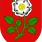 Avatar von Gemeinde Uznach
