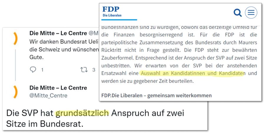 Mitte FDP Nachfolge Maurer