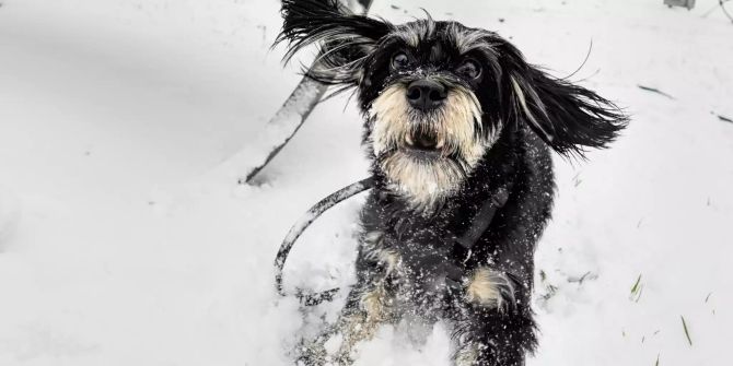Wintereinbruch in Österreich