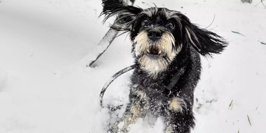 Wintereinbruch in Österreich