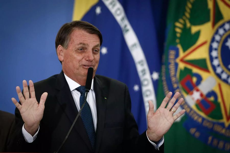 Seit der brasilianische Präsident Jair Bolsonaro im Amt ist, hat die Vernichtung des Regenwaldes drastisch zugenommen.